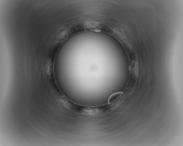 X0000116390712200912021540