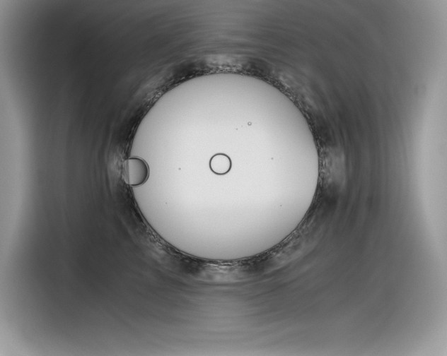 X0000116390713200912021540