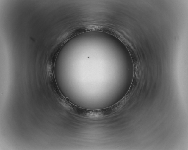 X0000116390714200912021540