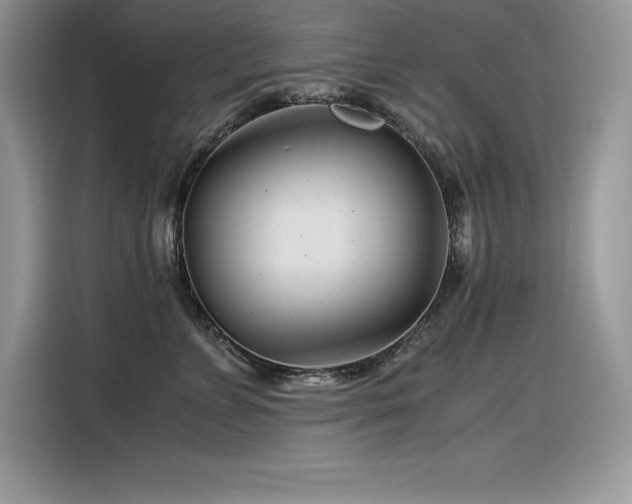 X0000116390715200912021540