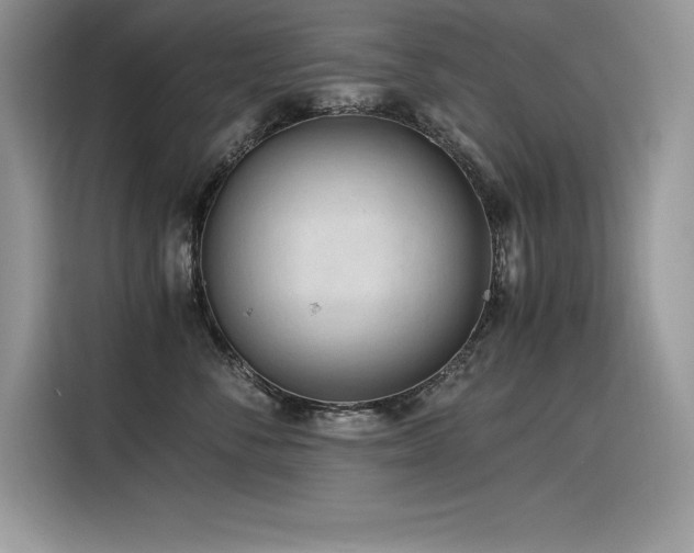 X0000116390716200912021540
