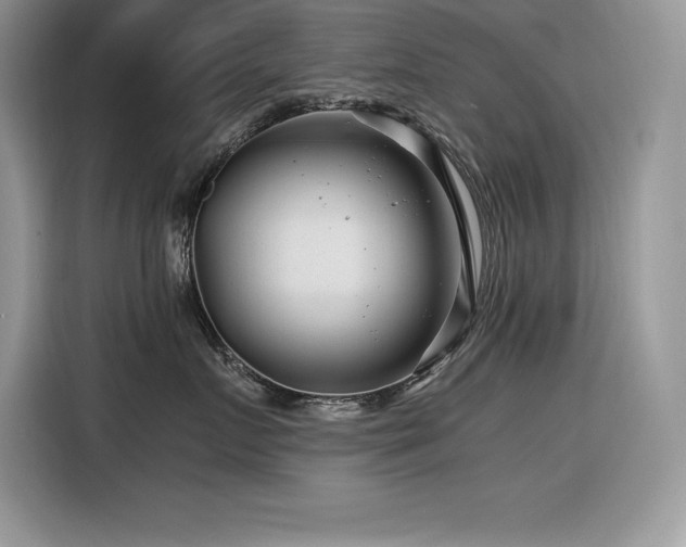 X0000116390719200912021539