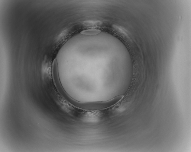 X0000116390720200912021539