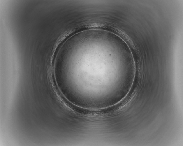 X0000116390721200912021539