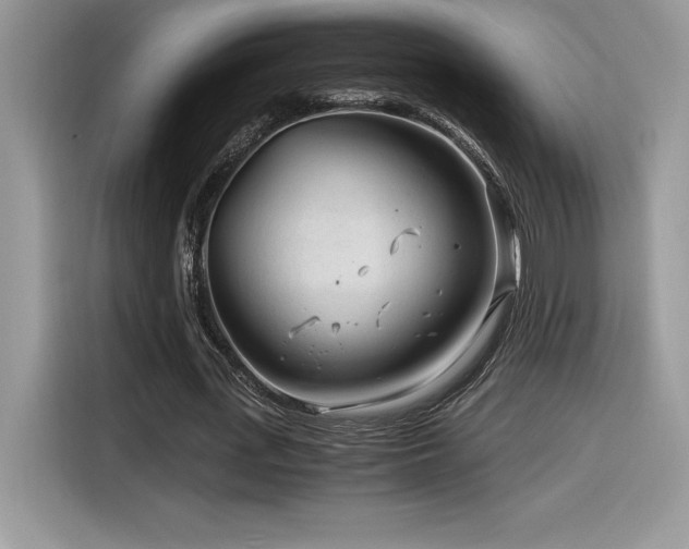 X0000116390723200912021539
