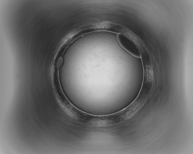X0000116390726200912021539