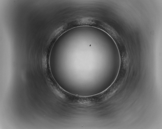 X0000116390729200912021539