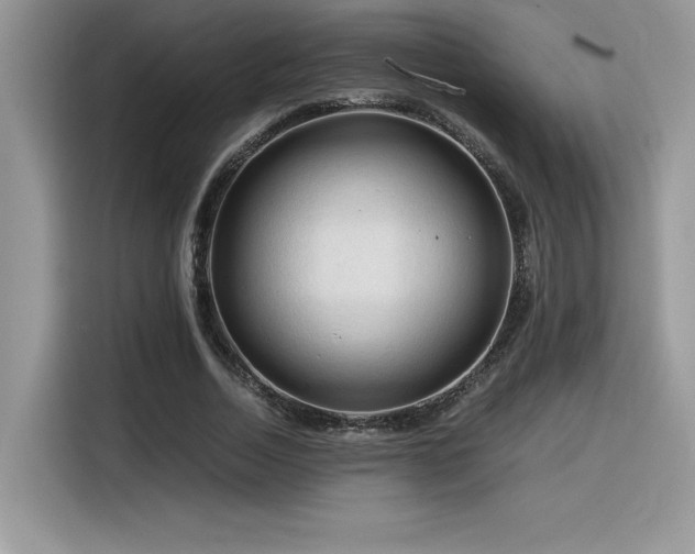 X0000116390730200912021539