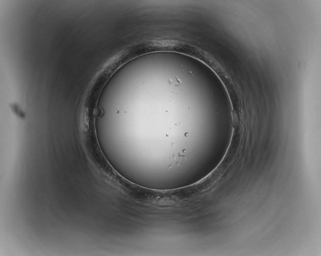 X0000116390731200912021539