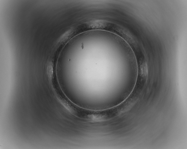X0000116390733200912021539