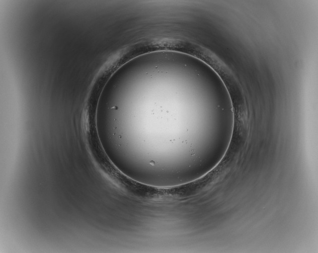 X0000116390734200912021539