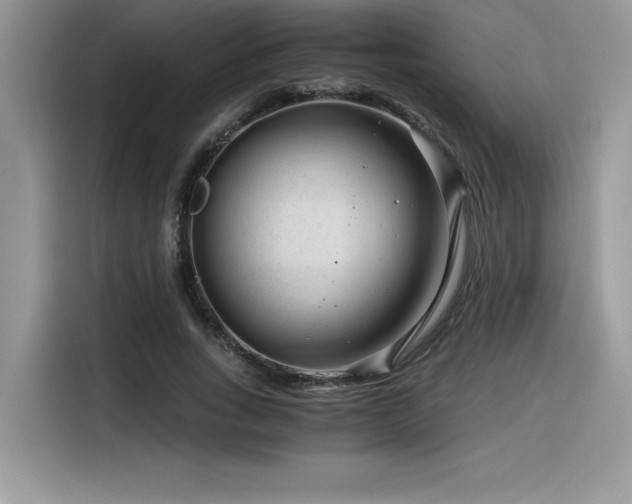 X0000116390735200912021539