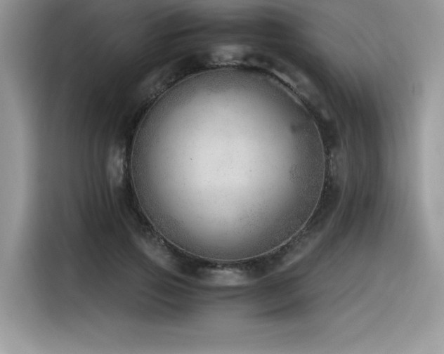 X0000116390741200912021539