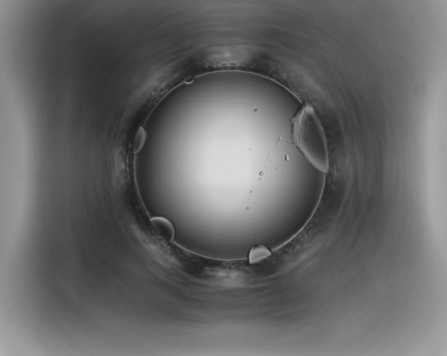 X0000116390743200912021539