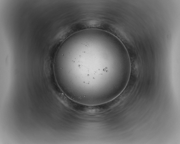 X0000116390746200912021539