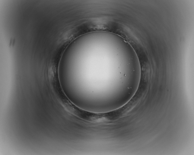 X0000116390747200912021539