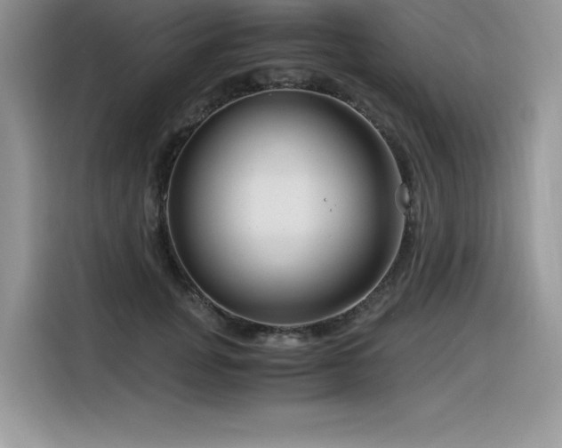 X0000116390751200912021539