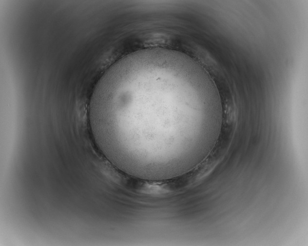 X0000116390753200912021539