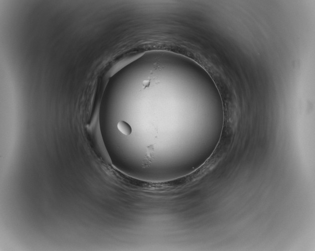 X0000116390758200912021539