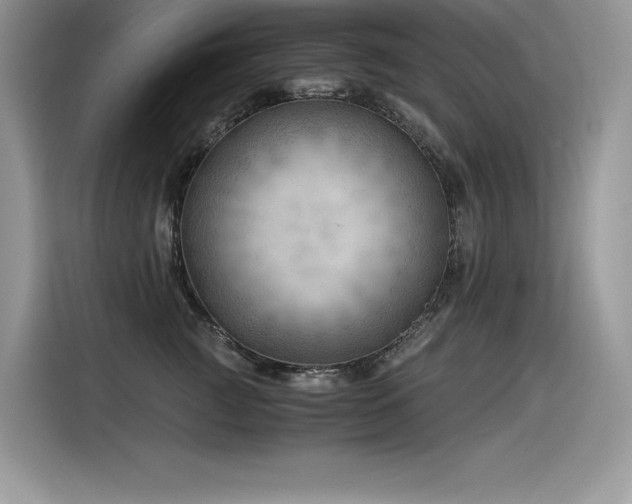 X0000116390761200912021539