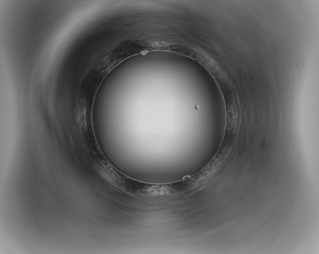 X0000116390762200912021539