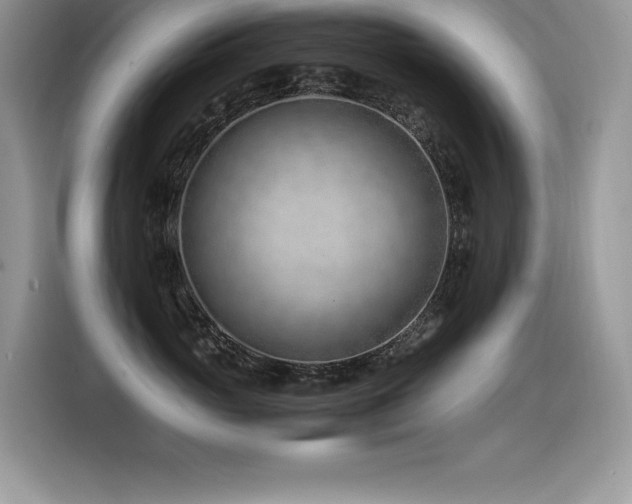 X0000116390765200912021539