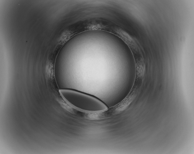 X0000116390766200912021539