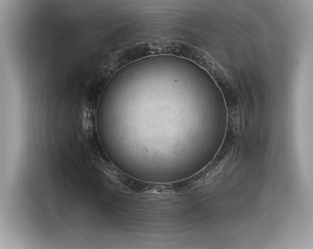 X0000116390770200912021539