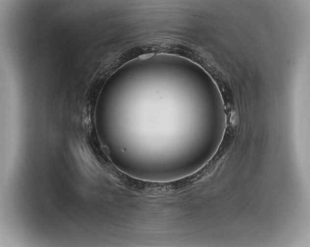 X0000116390771200912021539