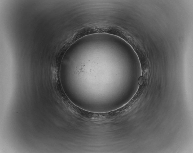 X0000116390772200912021539