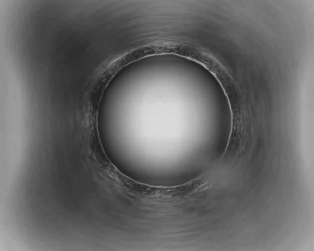 X0000116390773200912021539