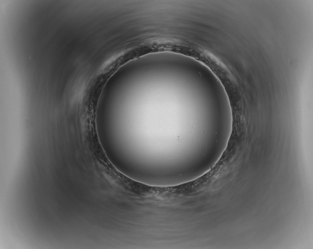 X0000116390775200912021539