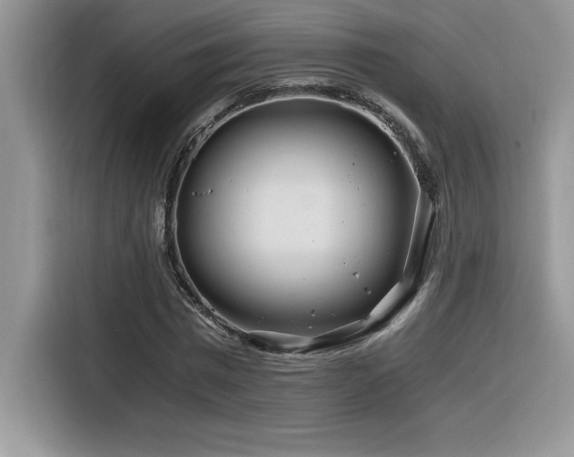 X0000116390777200912021539