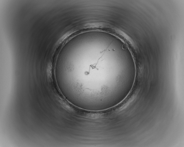 X0000116390778200912021539