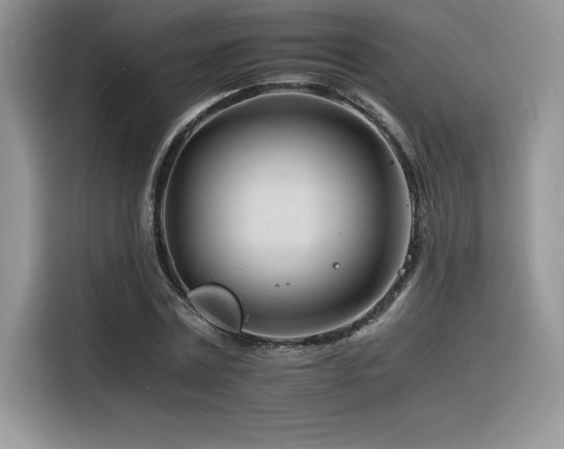 X0000116390779200912021539