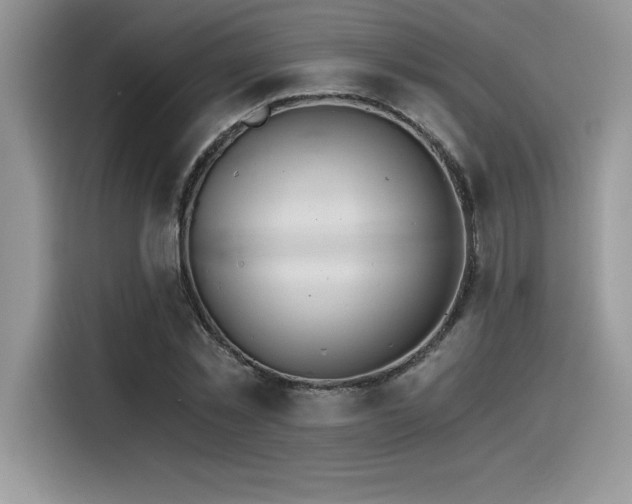 X0000116390781200912021539
