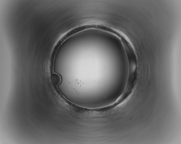 X0000116390783200912021539