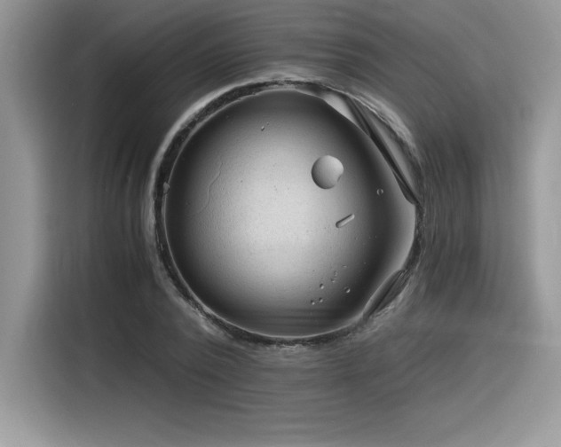 X0000116390784200912021539