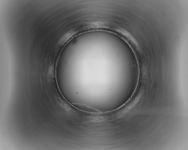 X0000116390785200912021539