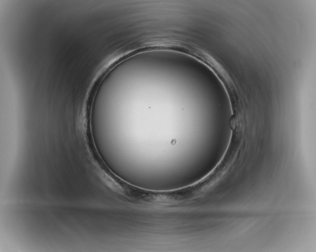 X0000116390787200912021539