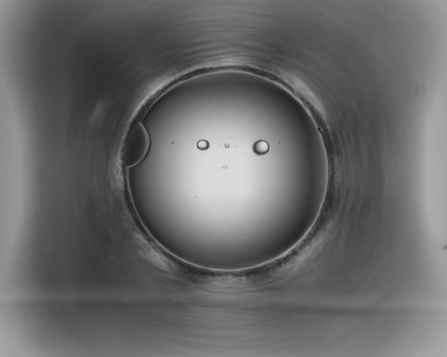 X0000116390789200912021539
