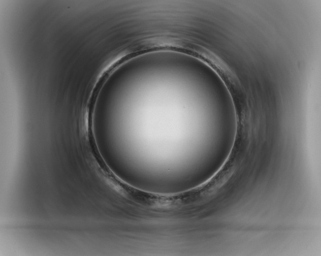 X0000116390790200912021539