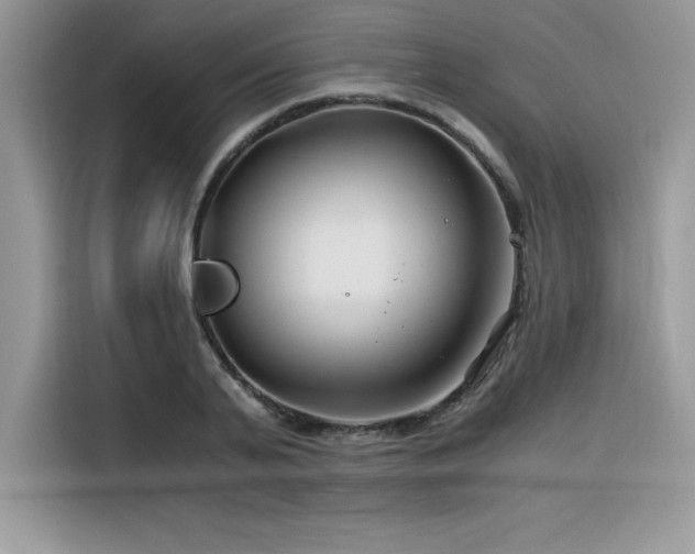 X0000116390791200912021539
