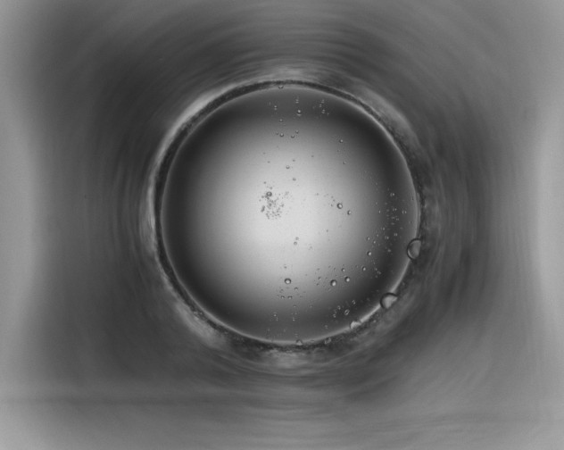 X0000116390792200912021539