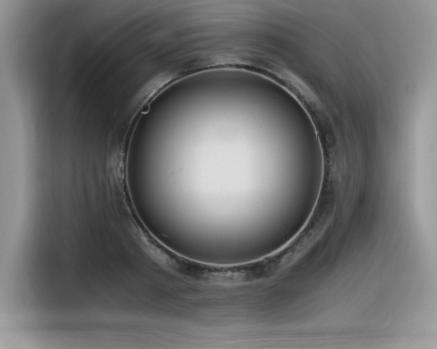 X0000116390793200912021539