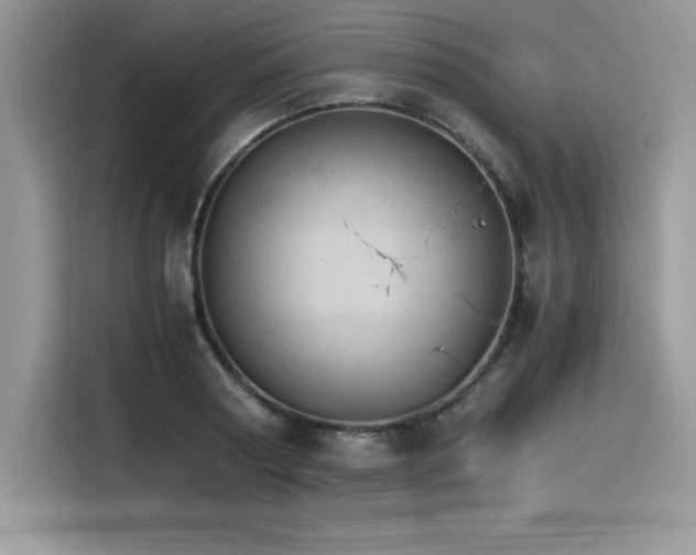 X0000116390794200912021539
