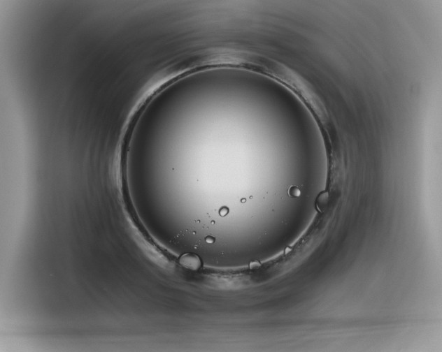 X0000116390795200912021538