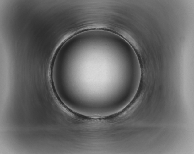 X0000116390797200912021538