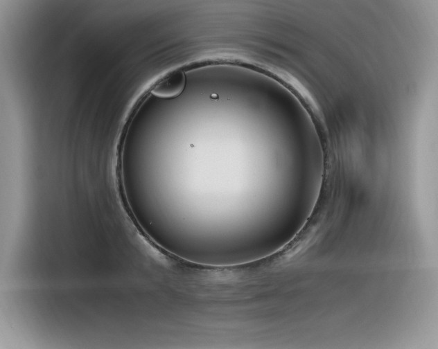 X0000116390799200912021538