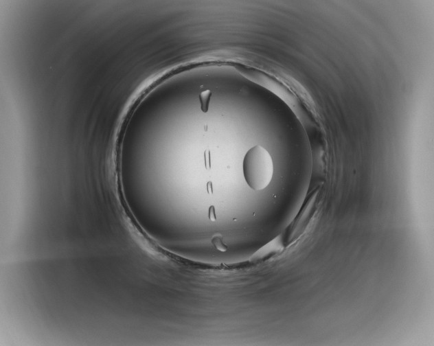 X0000116390800200912021538